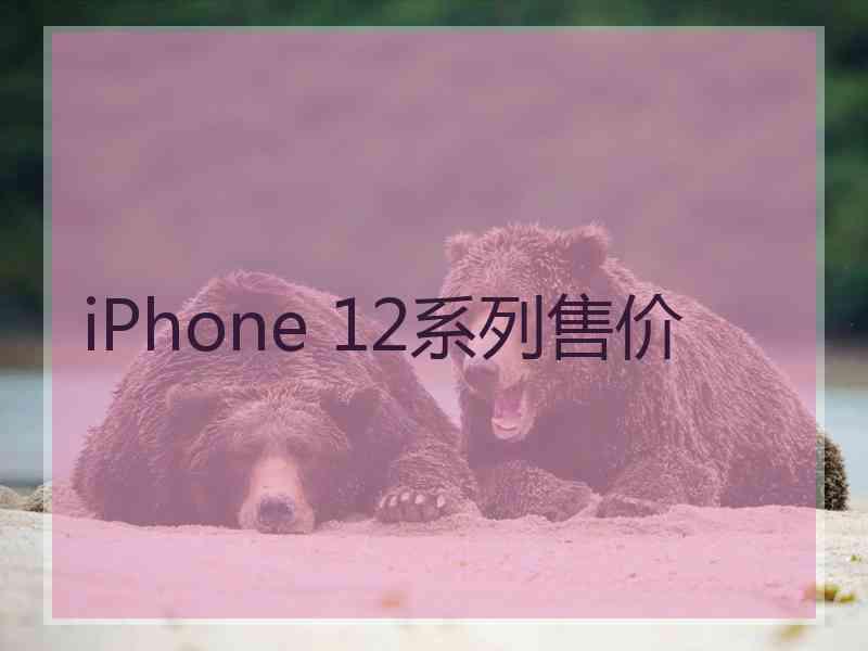 iPhone 12系列售价