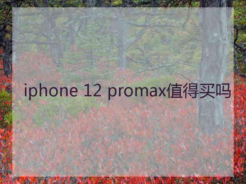 iphone 12 promax值得买吗