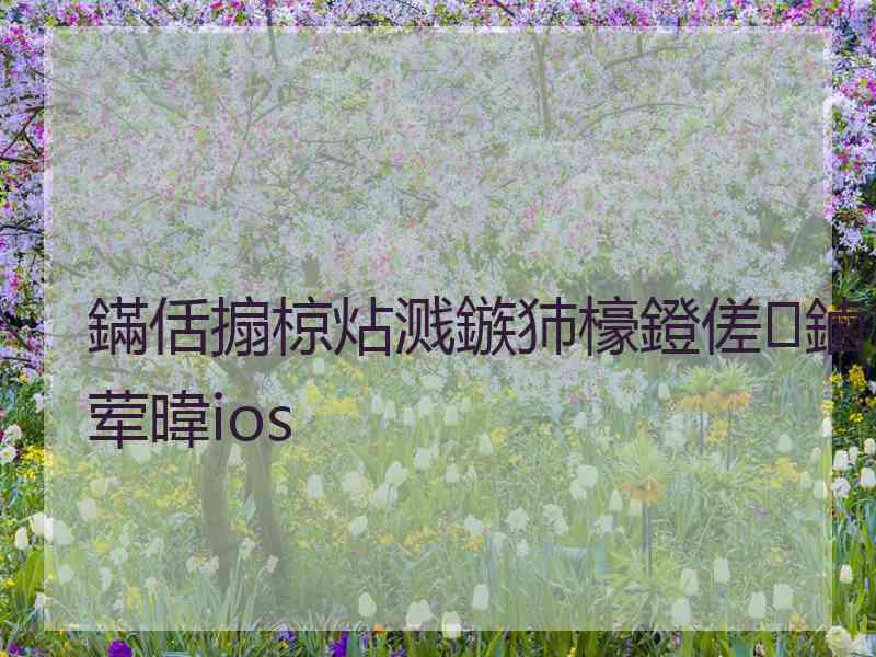 鏋佸搧椋炶溅鏃犻檺鐙傞鏀荤暐ios