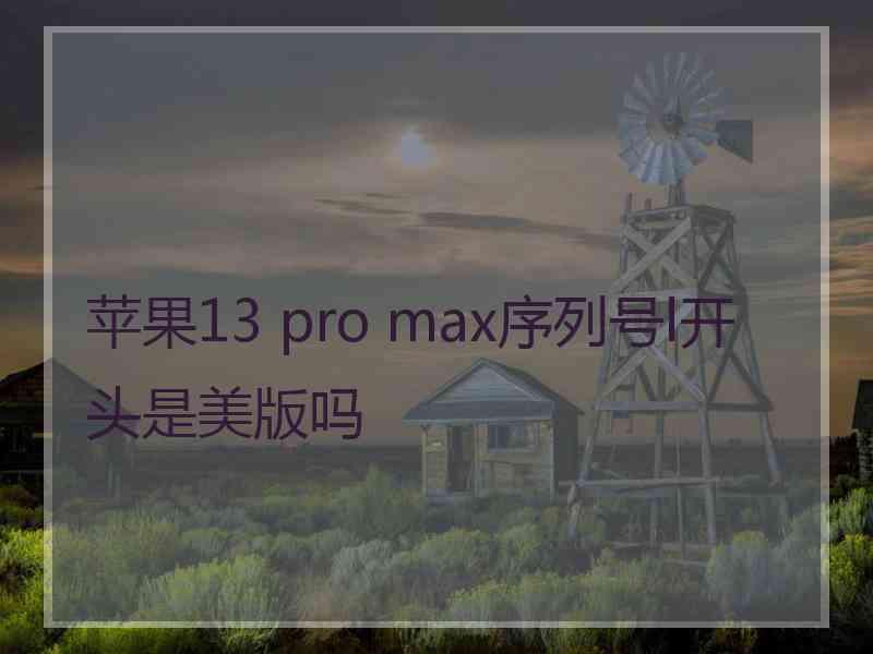 苹果13 pro max序列号l开头是美版吗