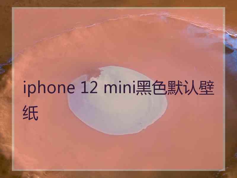 iphone 12 mini黑色默认壁纸