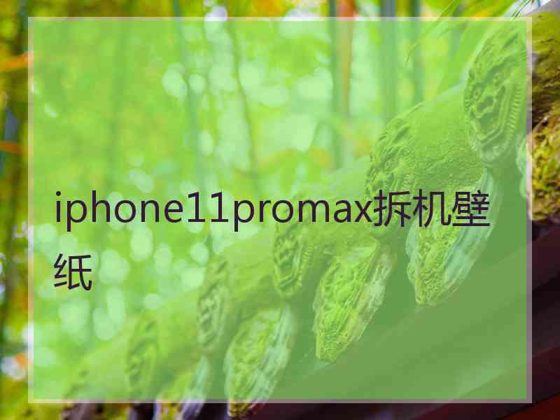 iphone11promax拆机壁纸