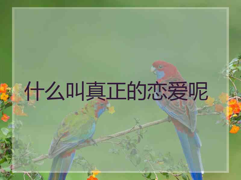 什么叫真正的恋爱呢