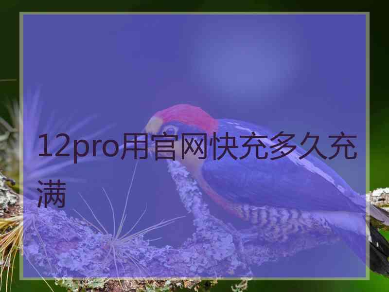 12pro用官网快充多久充满