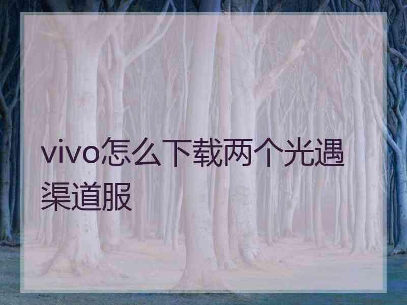 vivo怎么下载两个光遇渠道服