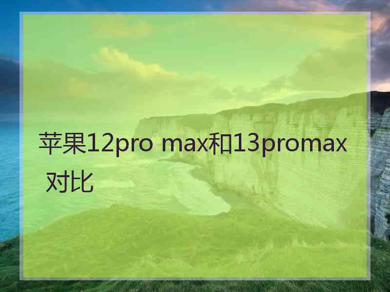 苹果12pro max和13promax 对比