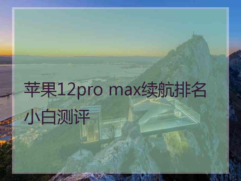 苹果12pro max续航排名小白测评