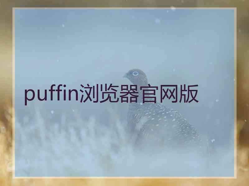 puffin浏览器官网版