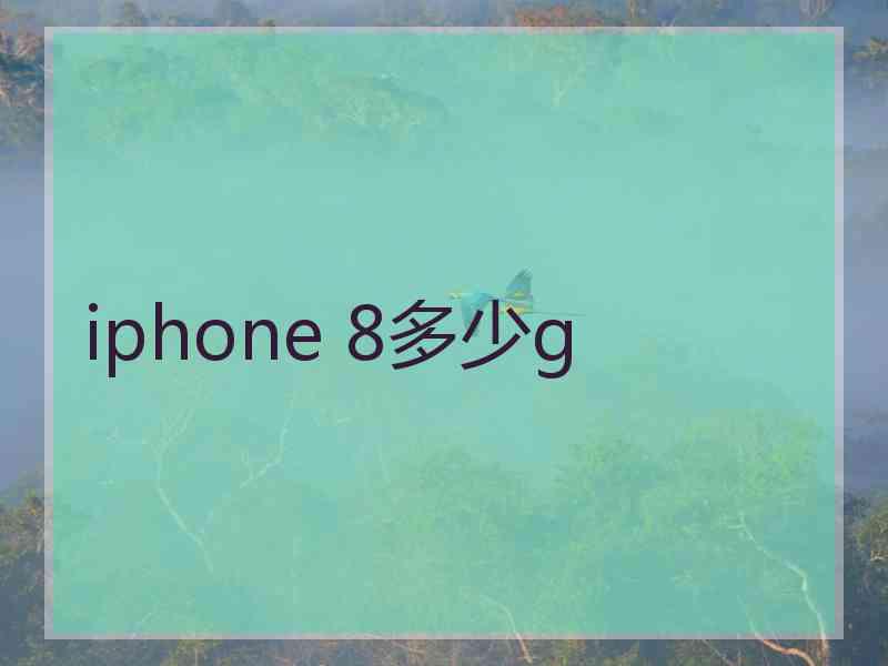 iphone 8多少g