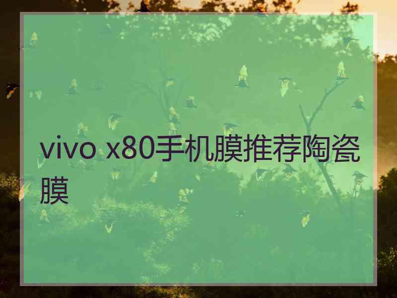 vivo x80手机膜推荐陶瓷膜