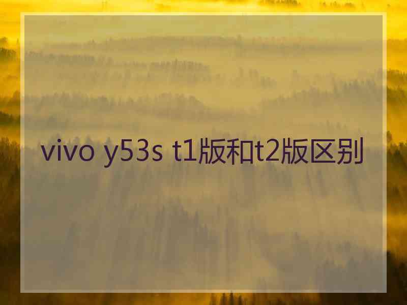 vivo y53s t1版和t2版区别