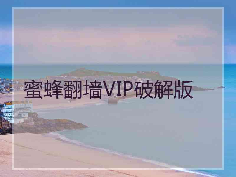 蜜蜂翻墙VIP破解版