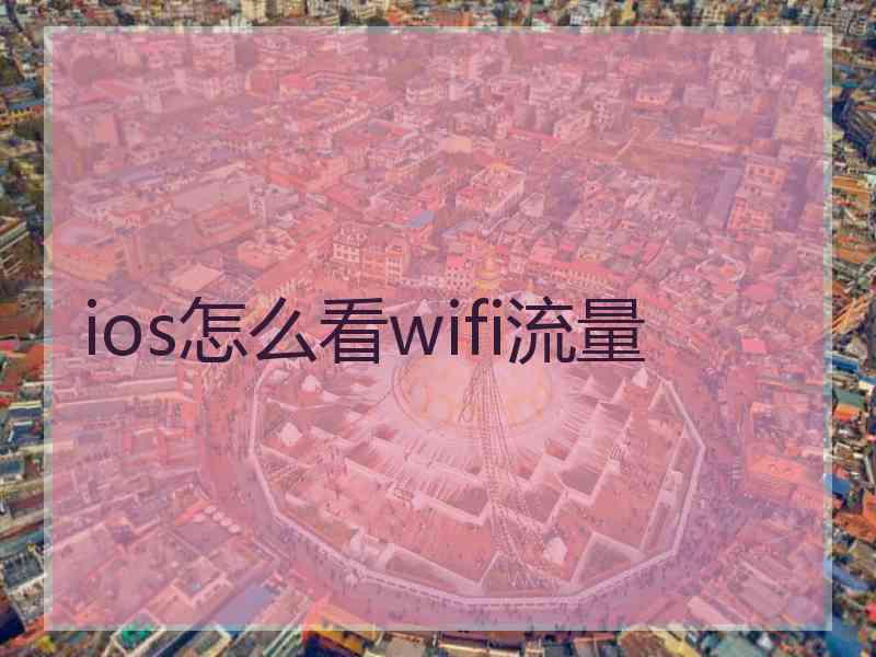 ios怎么看wifi流量