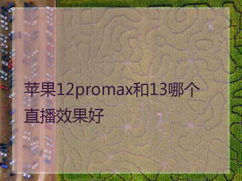 苹果12promax和13哪个直播效果好