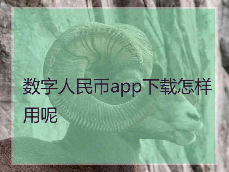 数字人民币app下载怎样用呢