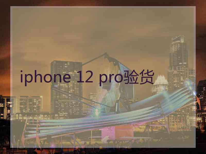 iphone 12 pro验货