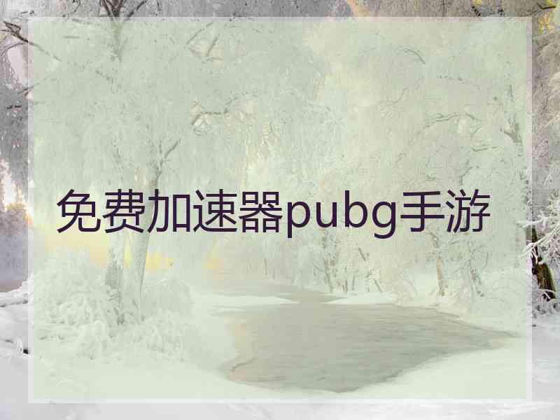 免费加速器pubg手游