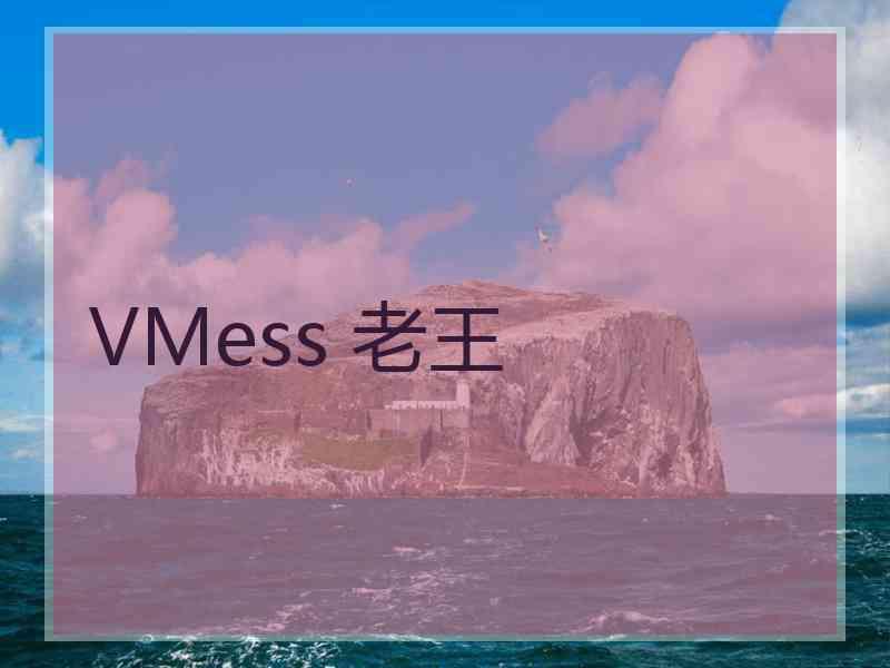 VMess 老王