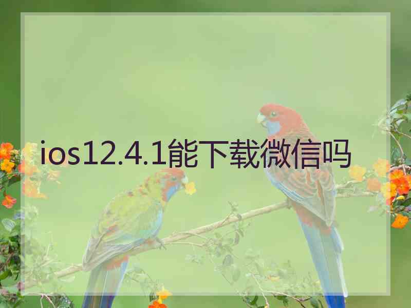 ios12.4.1能下载微信吗