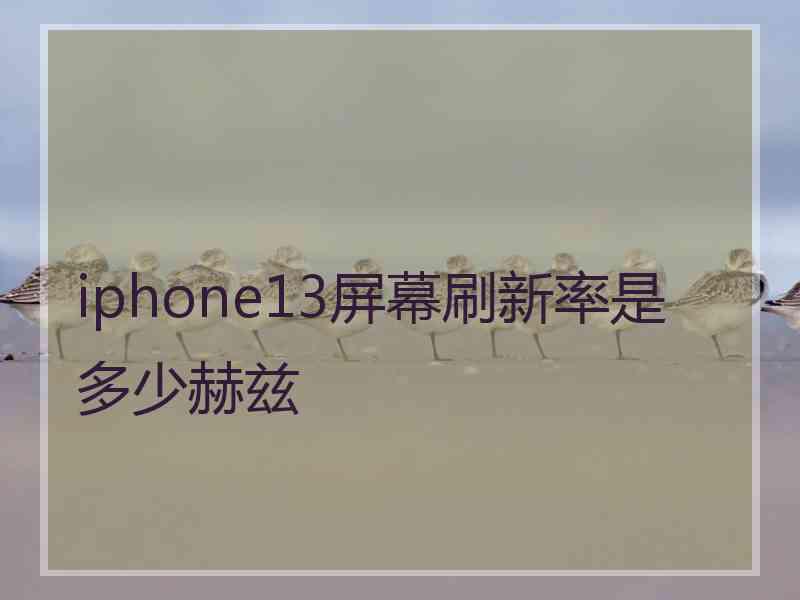 iphone13屏幕刷新率是多少赫兹