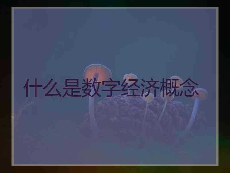 什么是数字经济概念