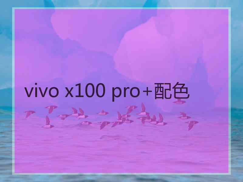 vivo x100 pro+配色