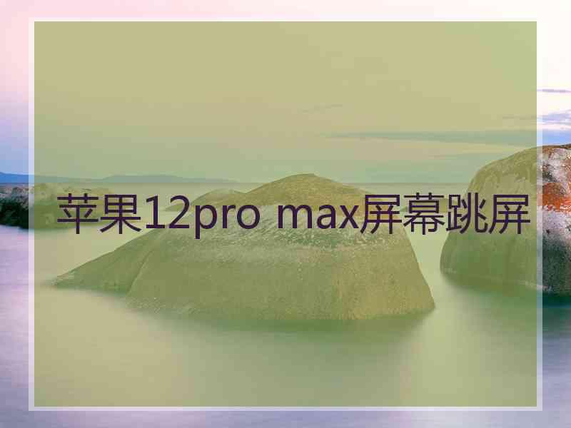 苹果12pro max屏幕跳屏