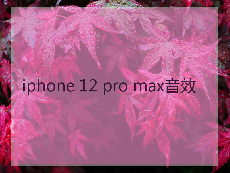 iphone 12 pro max音效