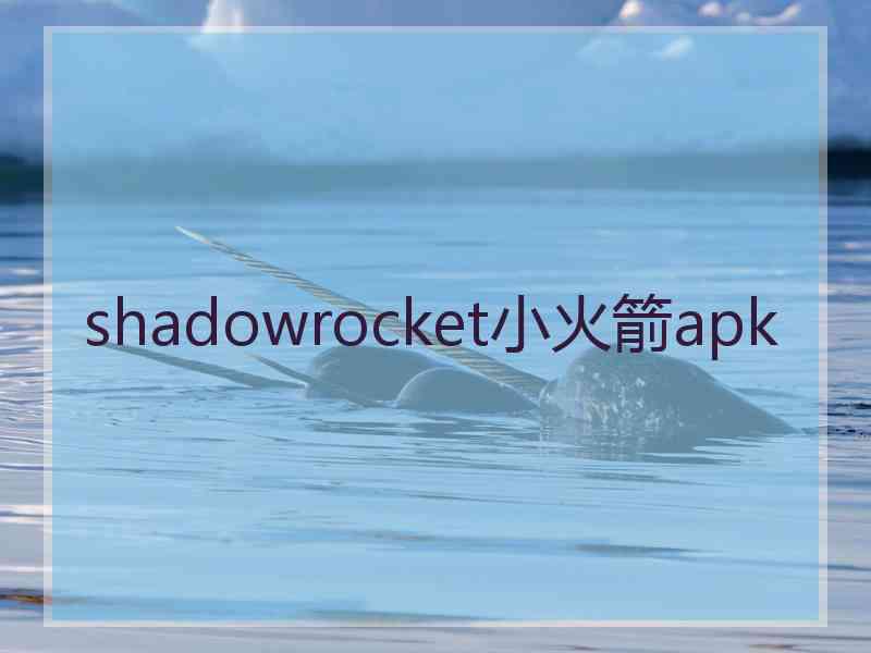 shadowrocket小火箭apk