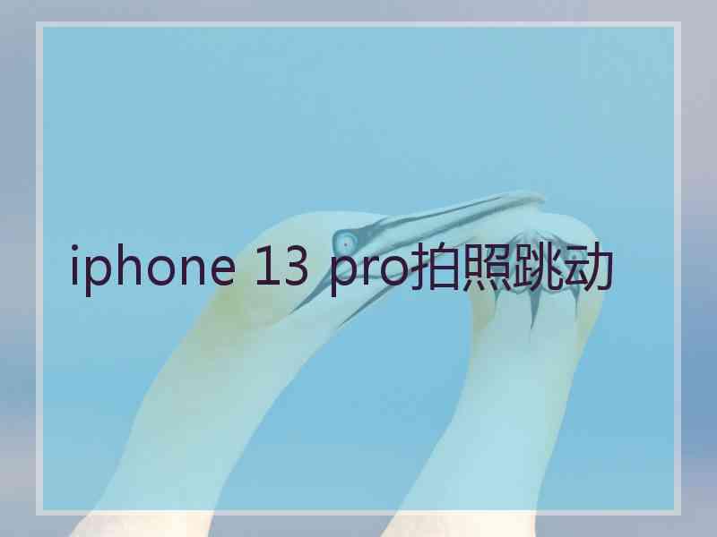 iphone 13 pro拍照跳动