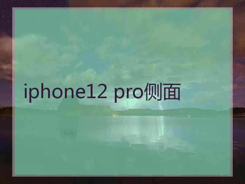 iphone12 pro侧面