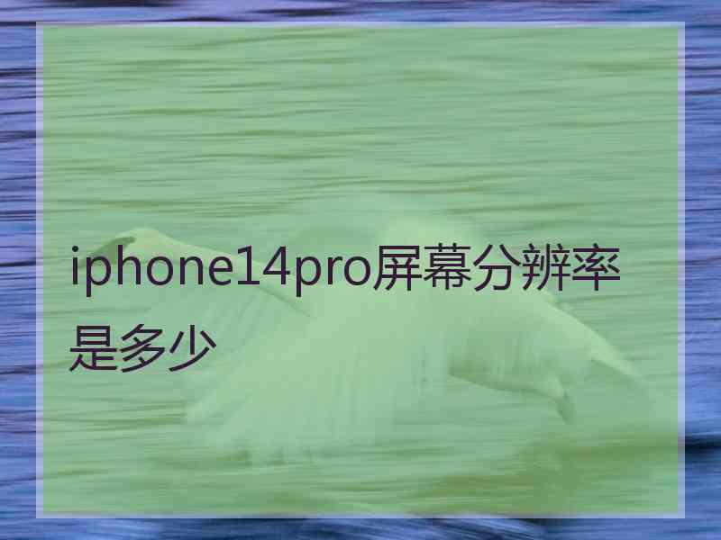 iphone14pro屏幕分辨率是多少