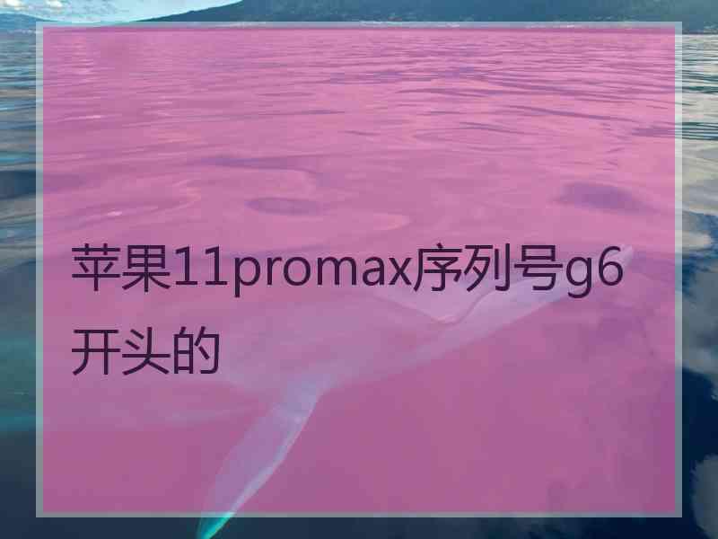 苹果11promax序列号g6开头的