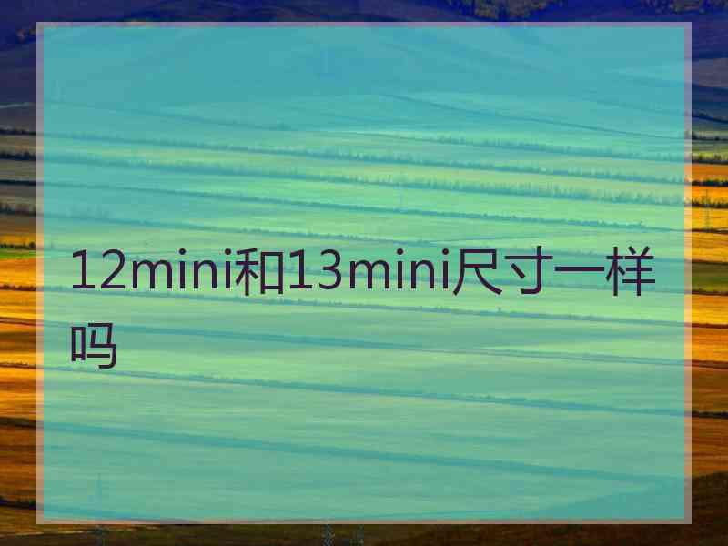 12mini和13mini尺寸一样吗