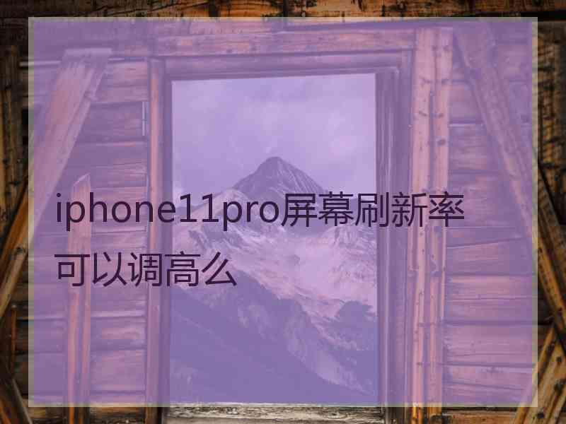 iphone11pro屏幕刷新率可以调高么