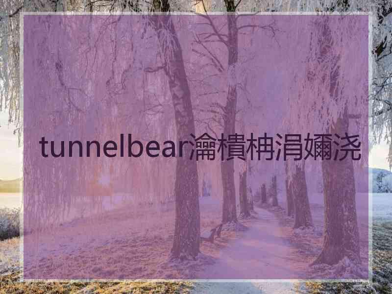 tunnelbear瀹樻柟涓嬭浇