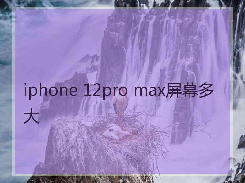 iphone 12pro max屏幕多大