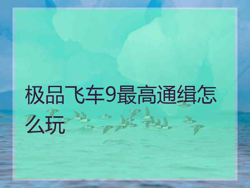 极品飞车9最高通缉怎么玩