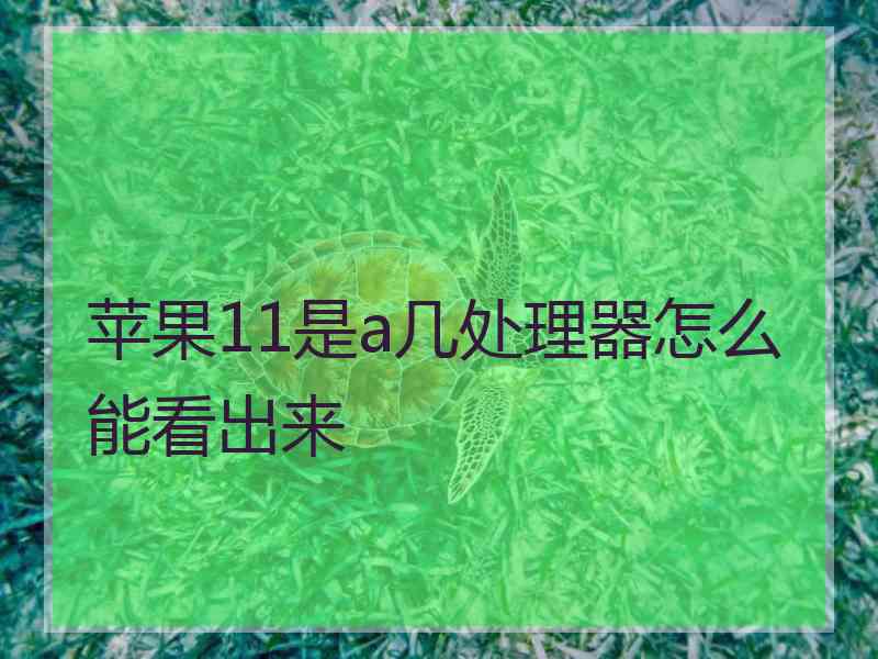 苹果11是a几处理器怎么能看出来