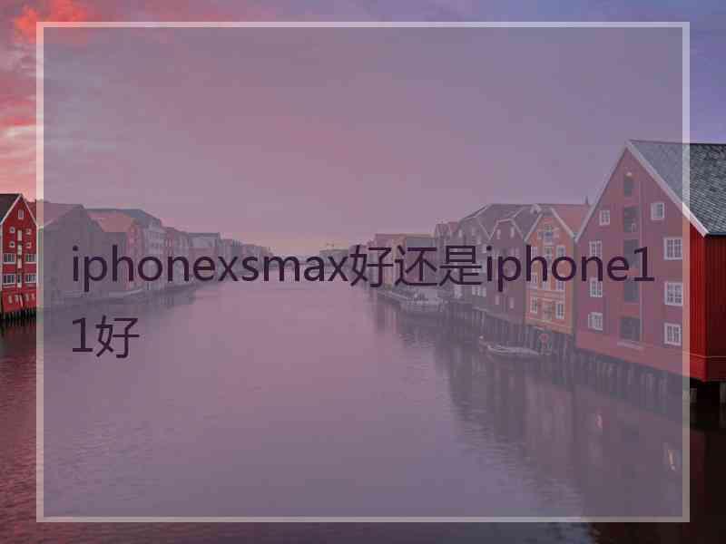 iphonexsmax好还是iphone11好