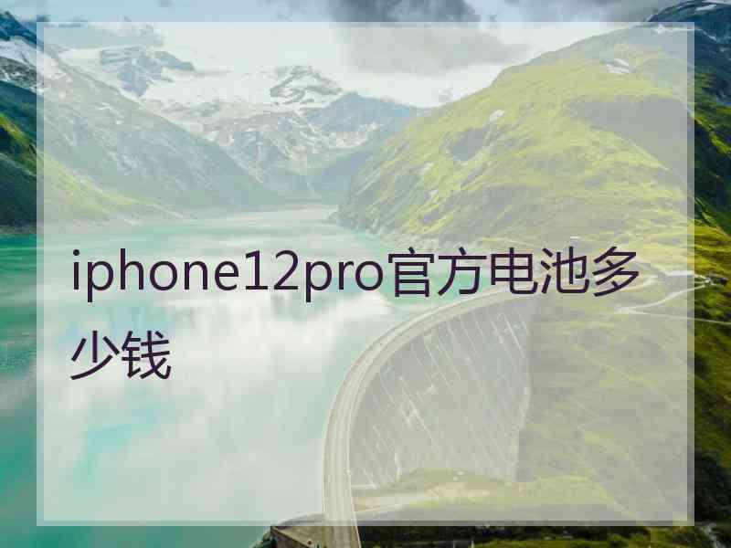 iphone12pro官方电池多少钱