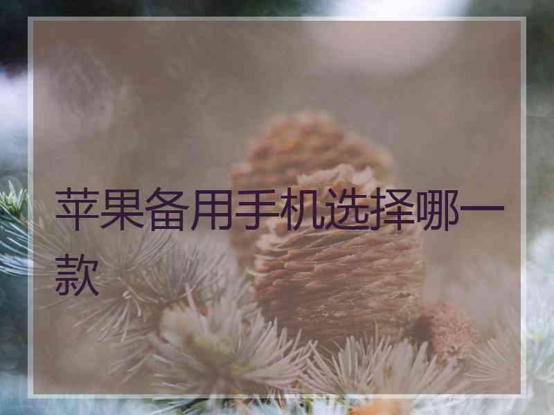 苹果备用手机选择哪一款