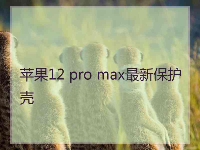 苹果12 pro max最新保护壳