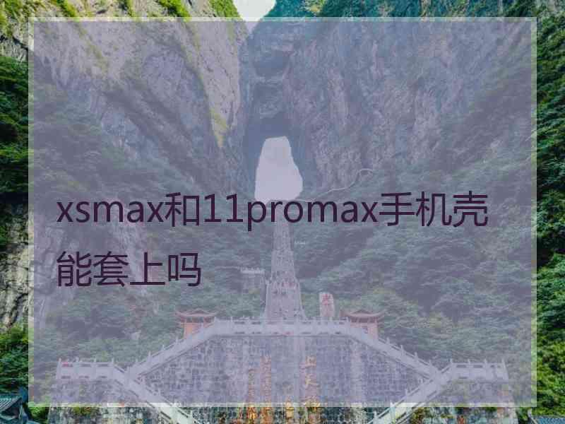 xsmax和11promax手机壳能套上吗