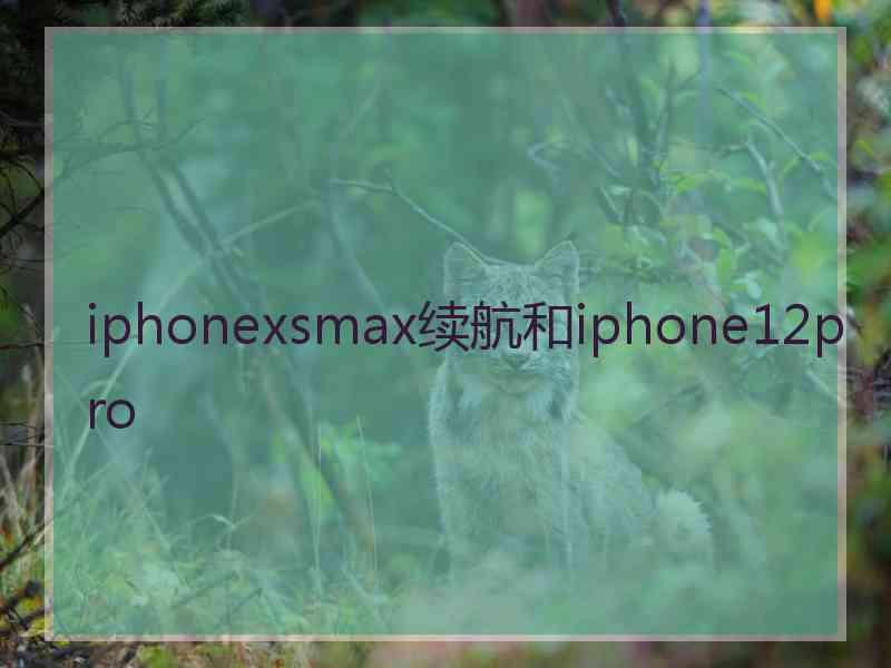 iphonexsmax续航和iphone12pro