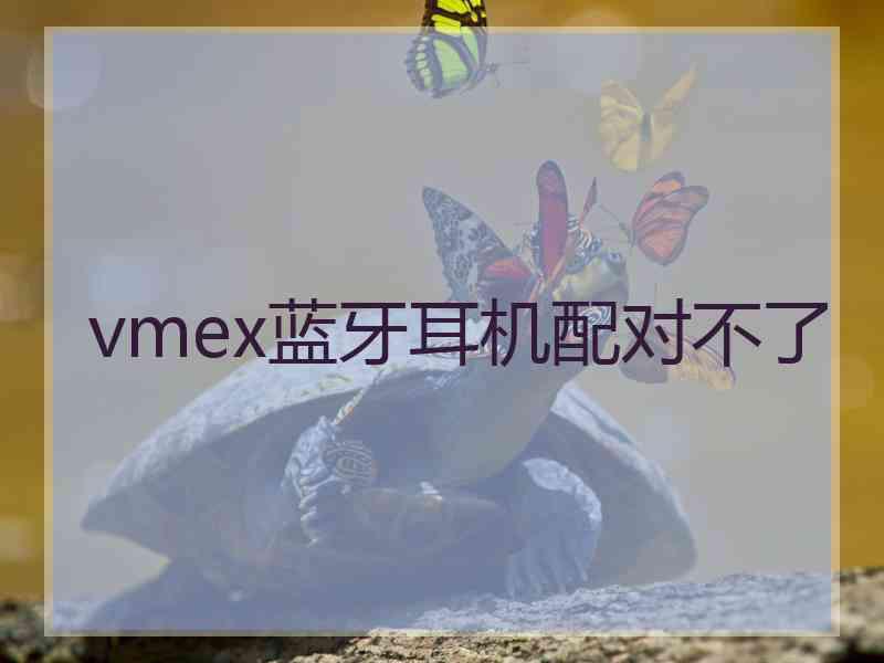 vmex蓝牙耳机配对不了