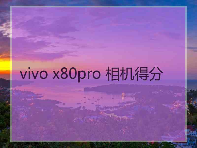 vivo x80pro 相机得分