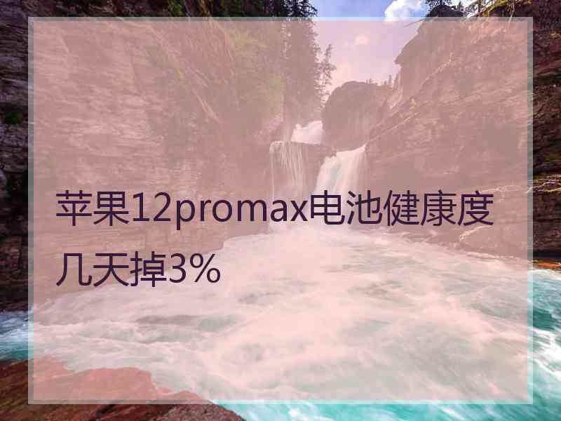 苹果12promax电池健康度几天掉3%