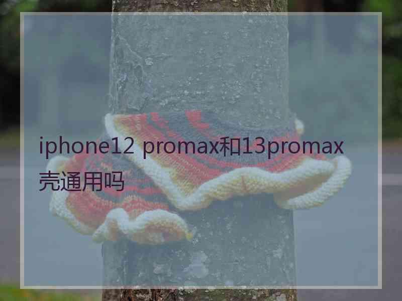 iphone12 promax和13promax壳通用吗