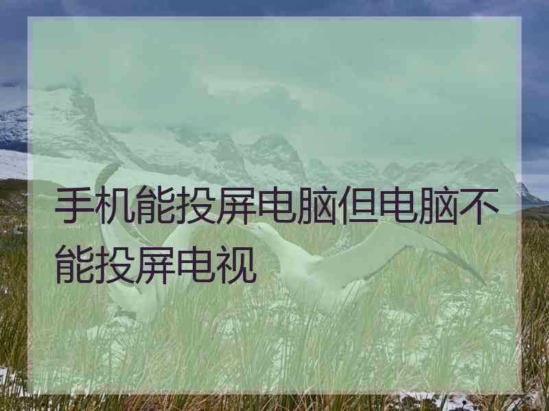 手机能投屏电脑但电脑不能投屏电视